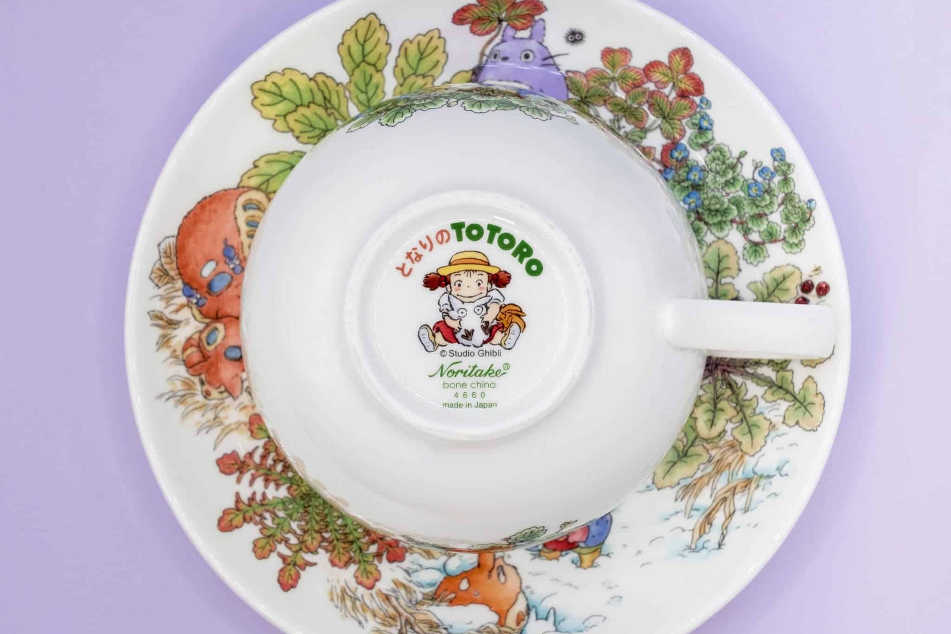 Tazza da té Totoro