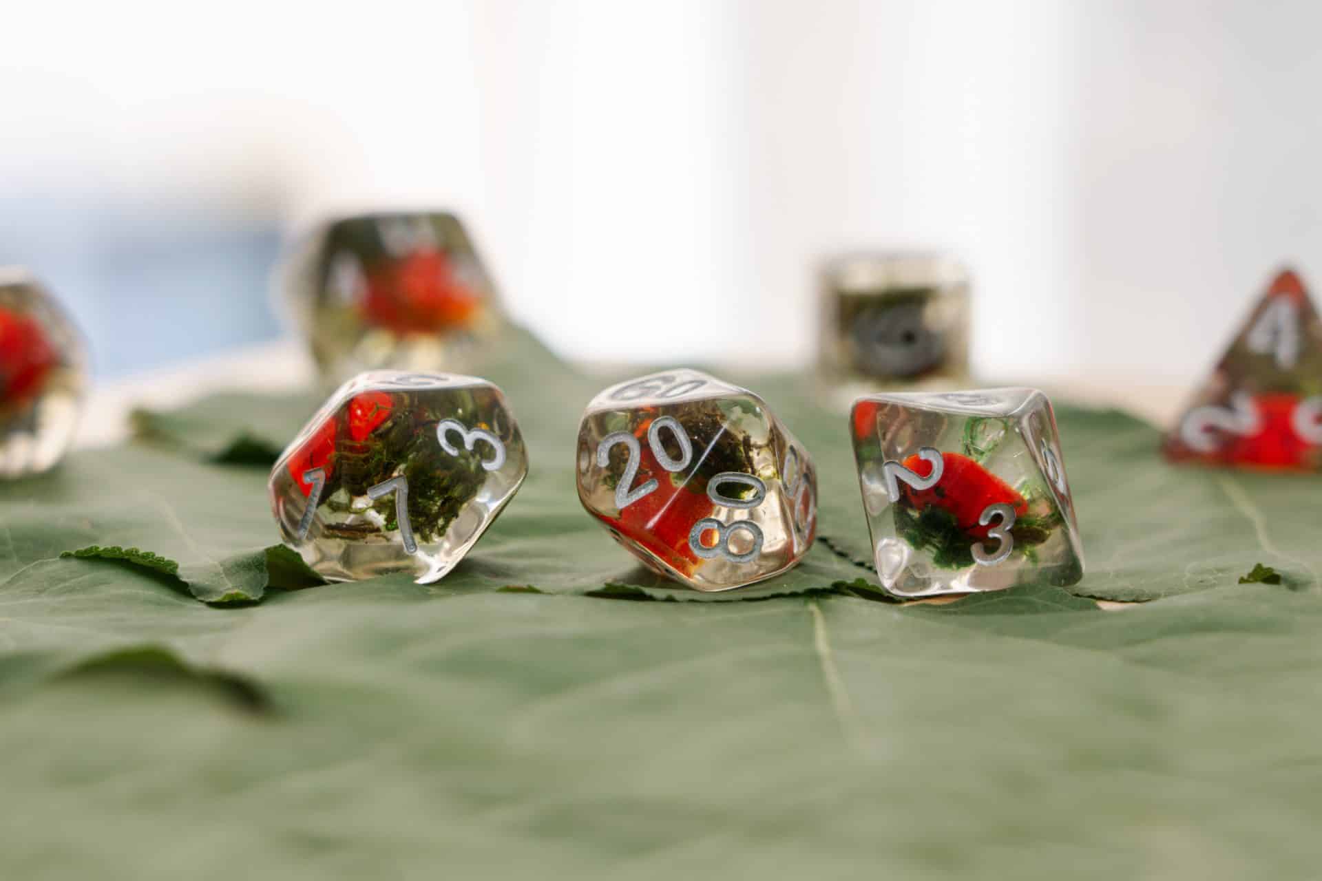 Coccinelle set di dadi di resina gdr D&D